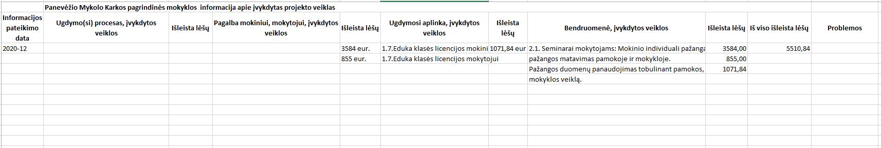 2020-12 tarpinės ataskaitos